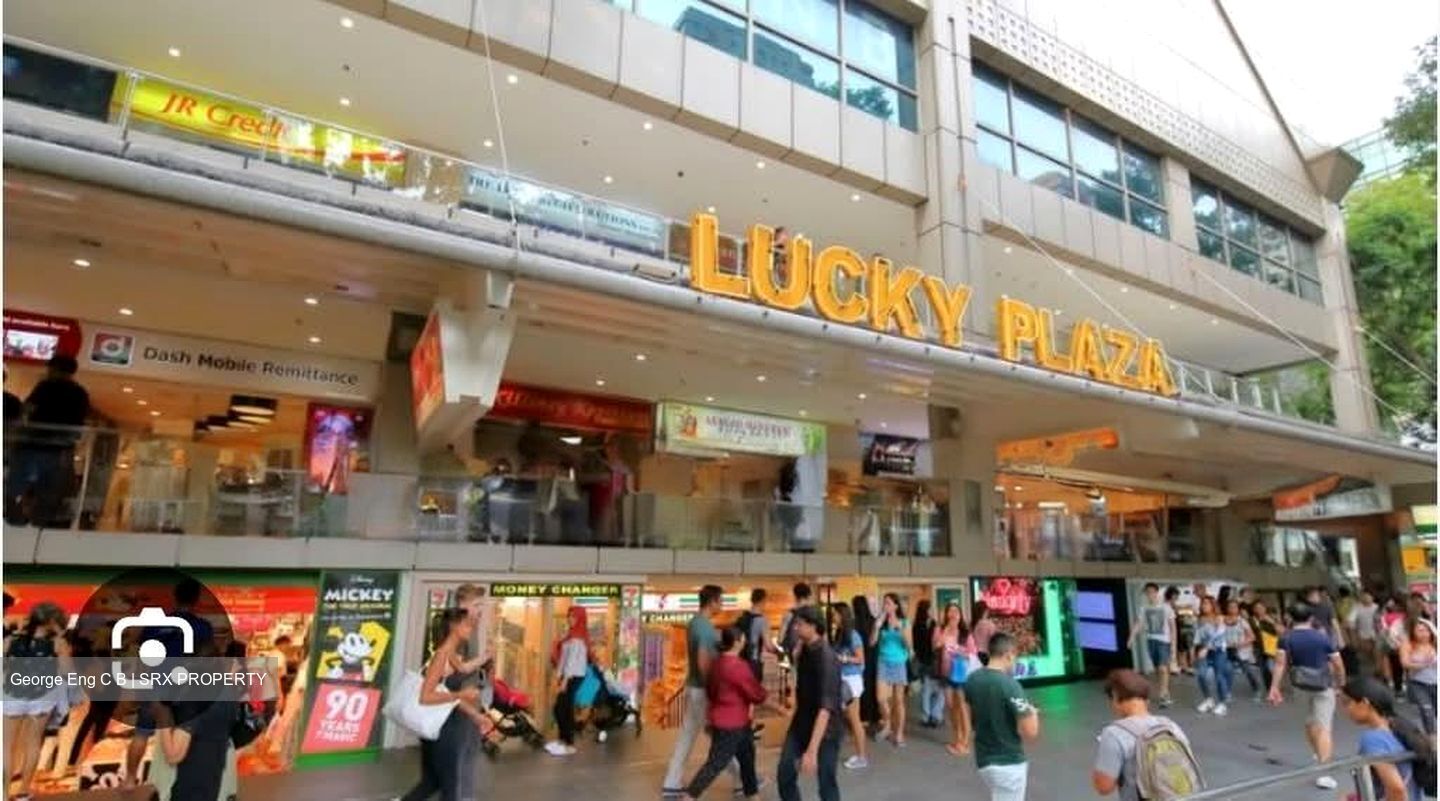 Lucky Plaza (D9), Shop House #560749291